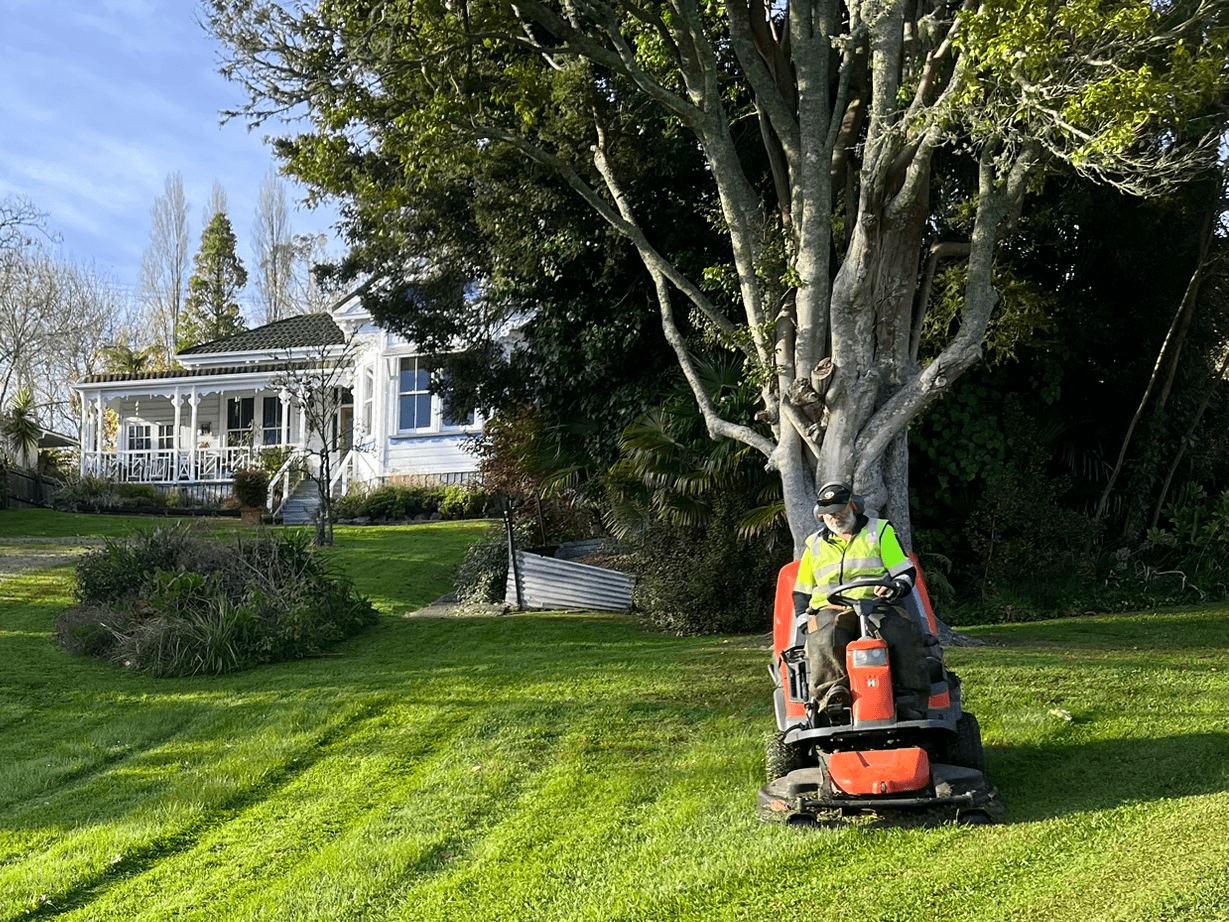 Mango Services LTD Lawn Mowing